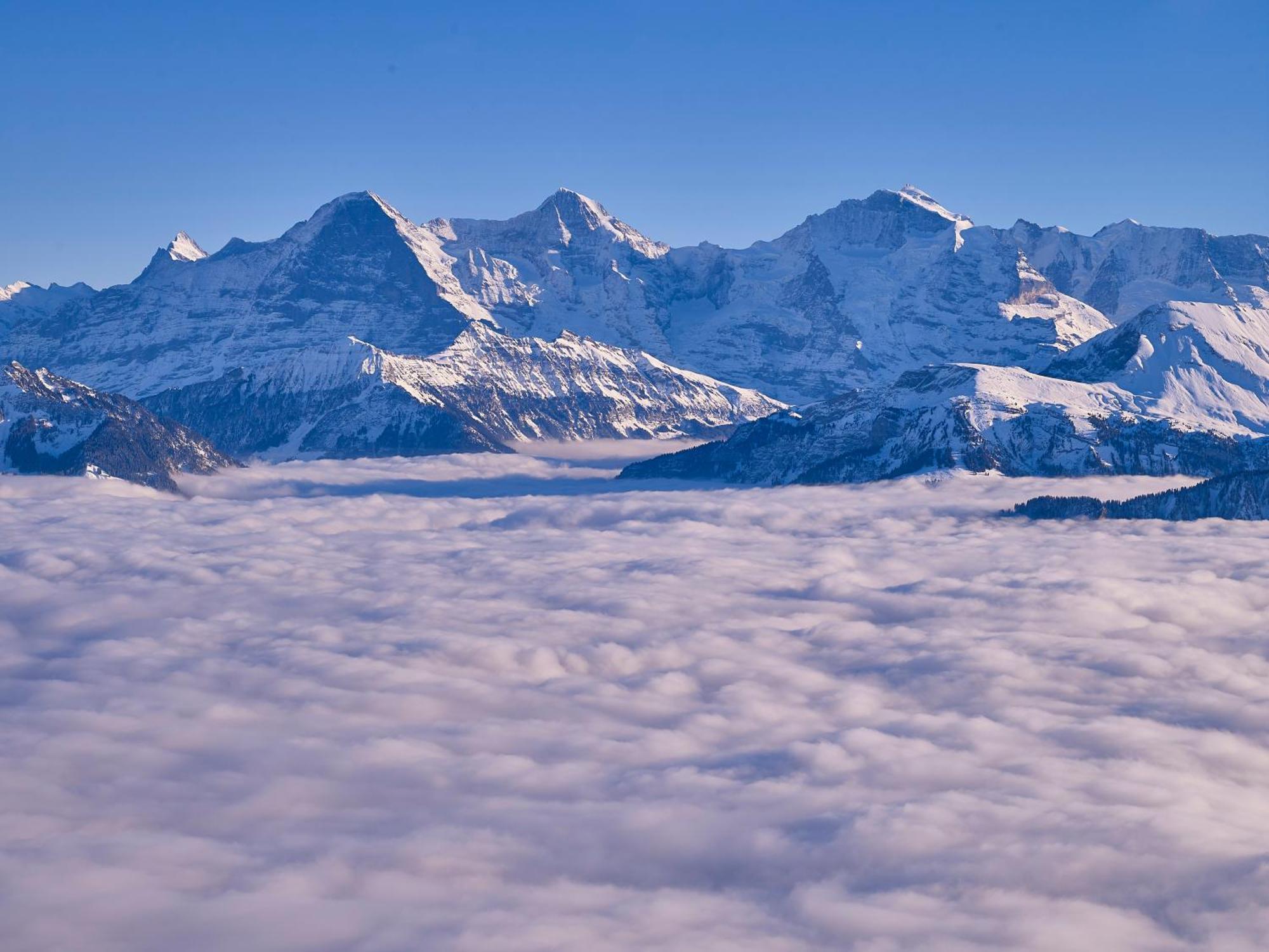 Fernblick - Panoramic View Beatenberg