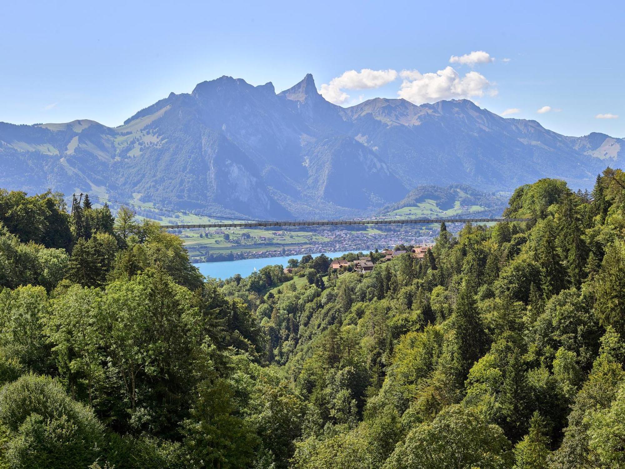 Fernblick - Panoramic View