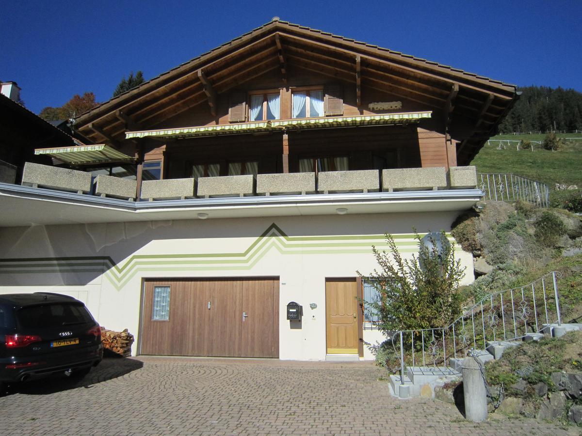 Fernblick - Panoramic View *